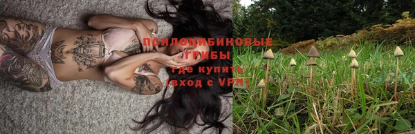 крисы Белоозёрский