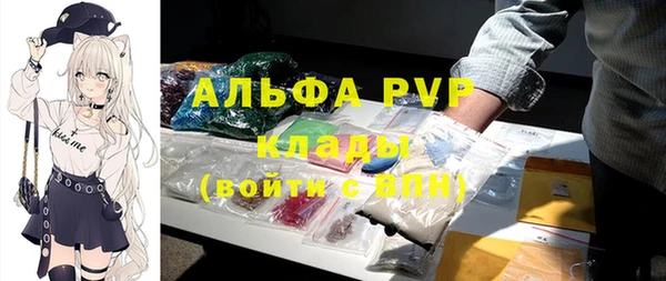 крисы Белоозёрский