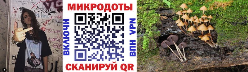 Галлюциногенные грибы Cubensis  Полесск 